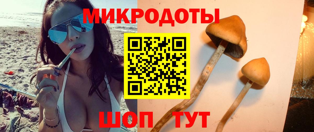Галлюциногенные грибы прущие грибы  Псилоцибиновые грибы Cubensis  Вход с VPN  Кандалакша 